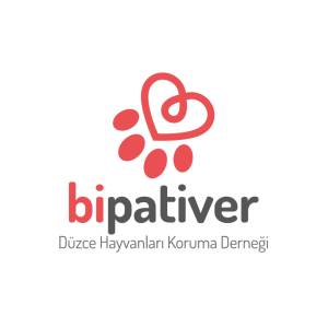 Bipativer