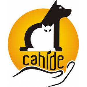 Cahide Derneği