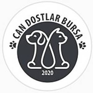 Can Dostlar Bursa Ali Eren Soluk