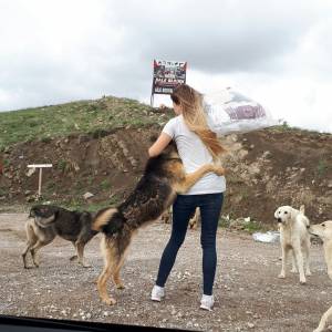 Canlar İçin Elele