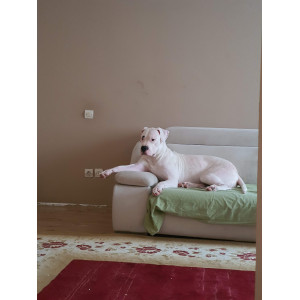 Coco Beylikdüzü