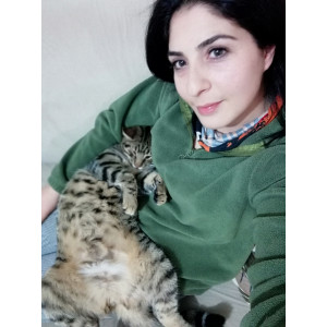 Deryaçüteli