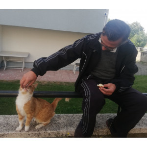 Bolu-Bolpati