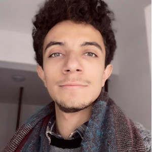 Ayhan Erdem