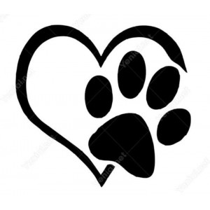 Sweet paws