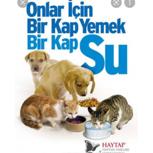 Balikesir Patileri