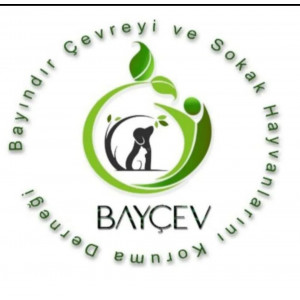 BAYÇEV