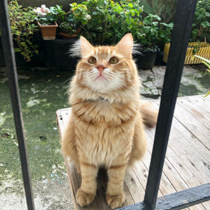 MİNİKBEY