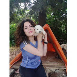 Burcu İnci AKYOL
