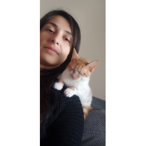 Badem ve dostları
