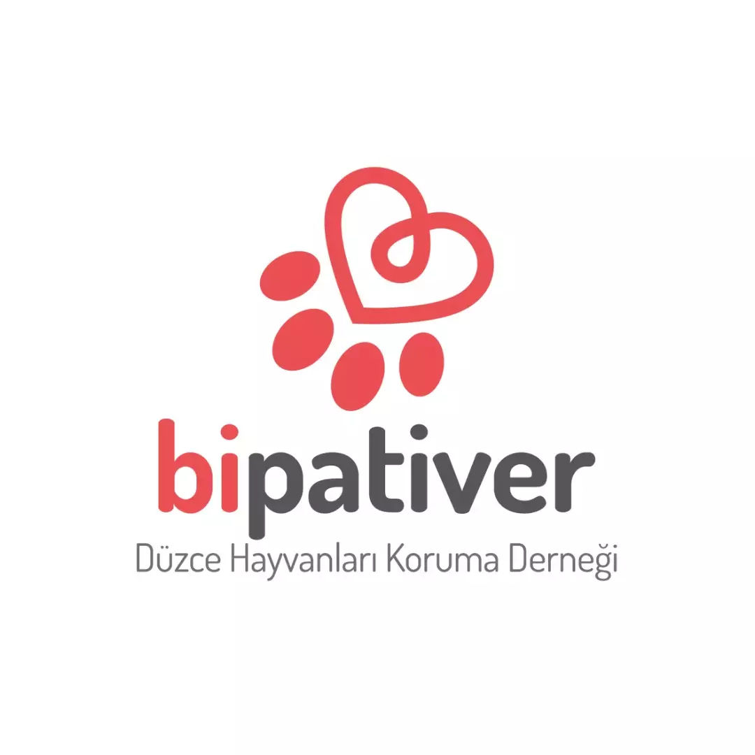 Bipativer