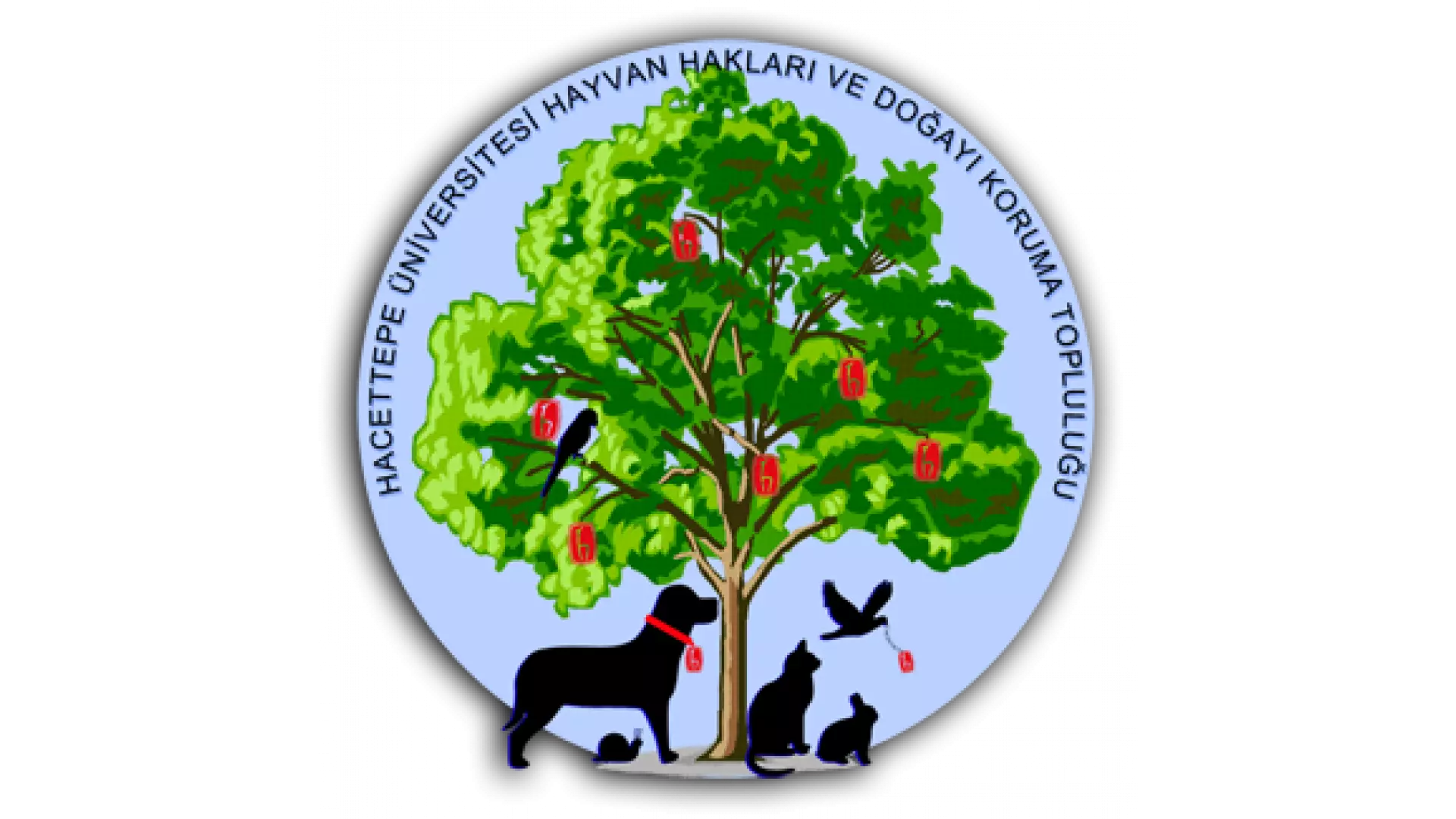 Hacettepe Haydok