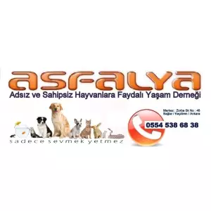 Asfalya Derneği