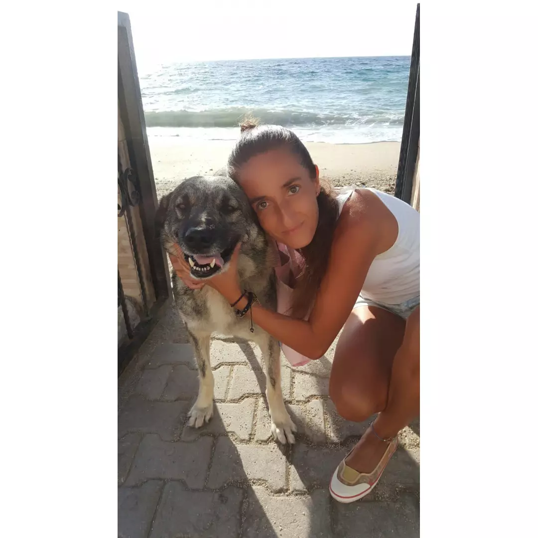 Avşa Adası Canları (Ebru Büyükkaplan)