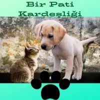 Bir Pati Kardeşliği