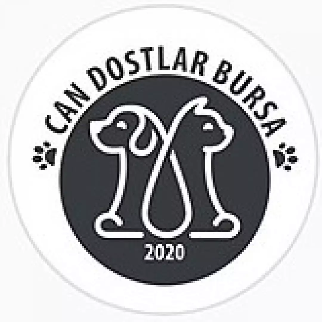 Can Dostlar Bursa Ali Eren Soluk