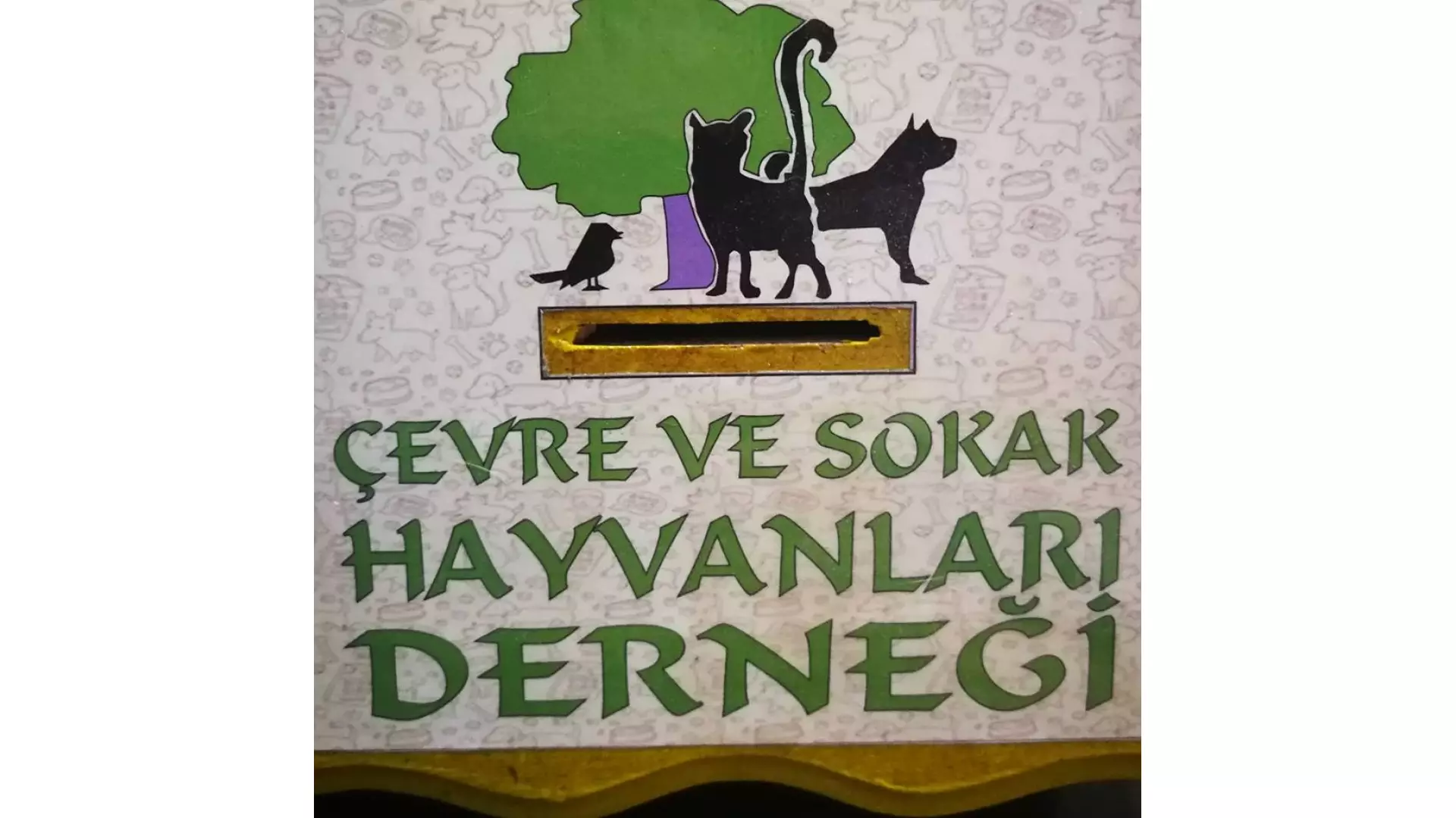 Çevre ve Sokak Hayvanları Derneği