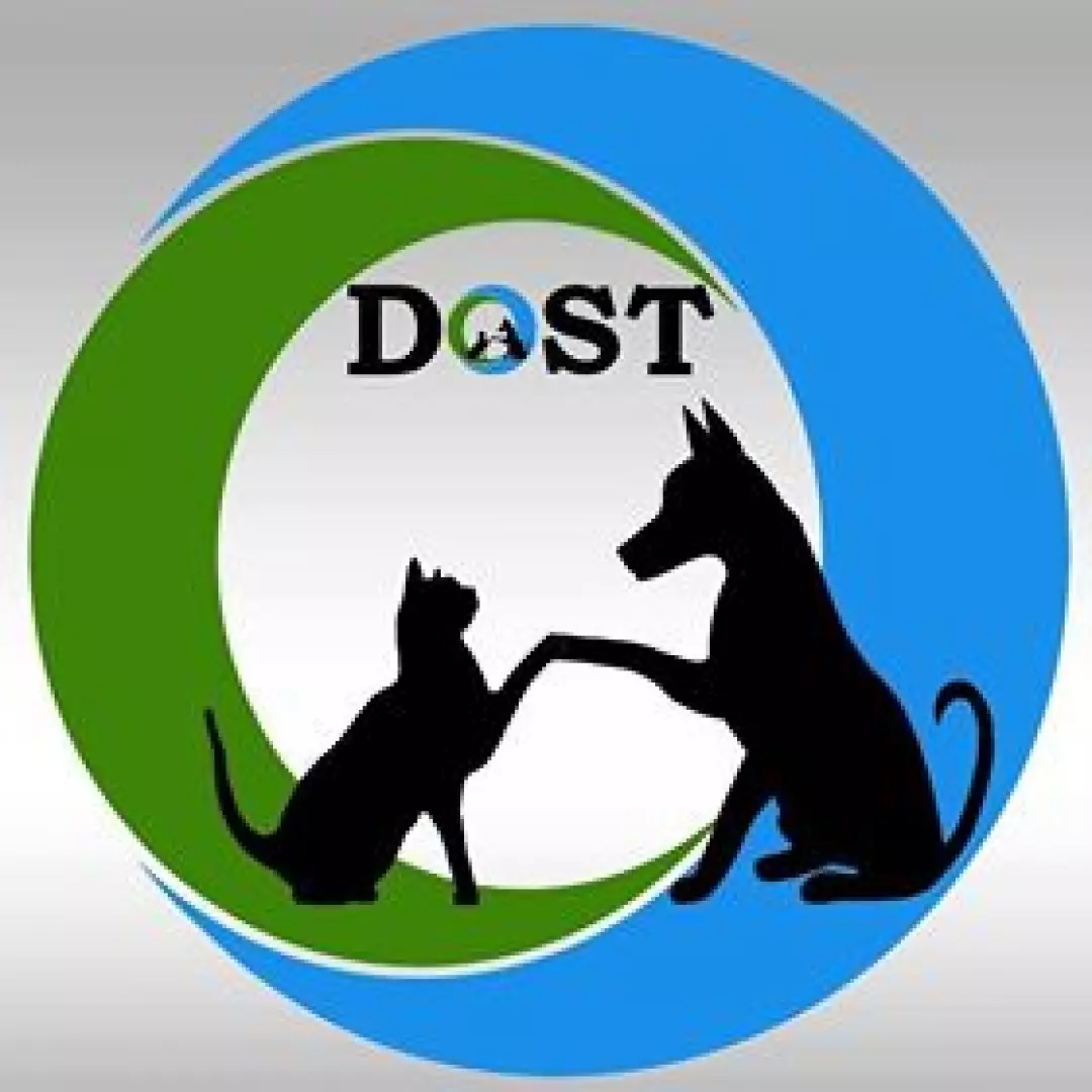 Dost Derneği