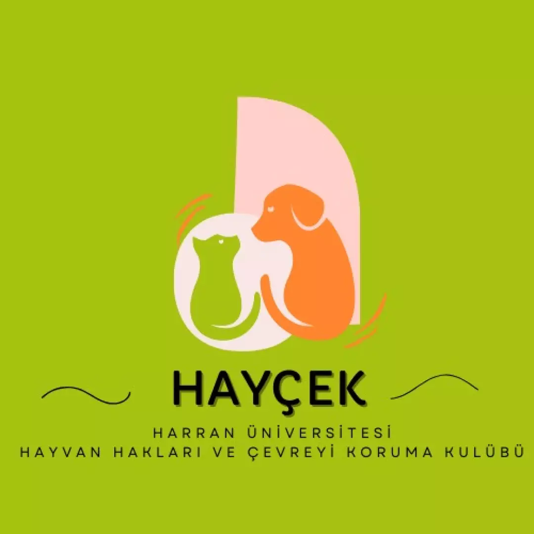 HAYÇEK HÜ