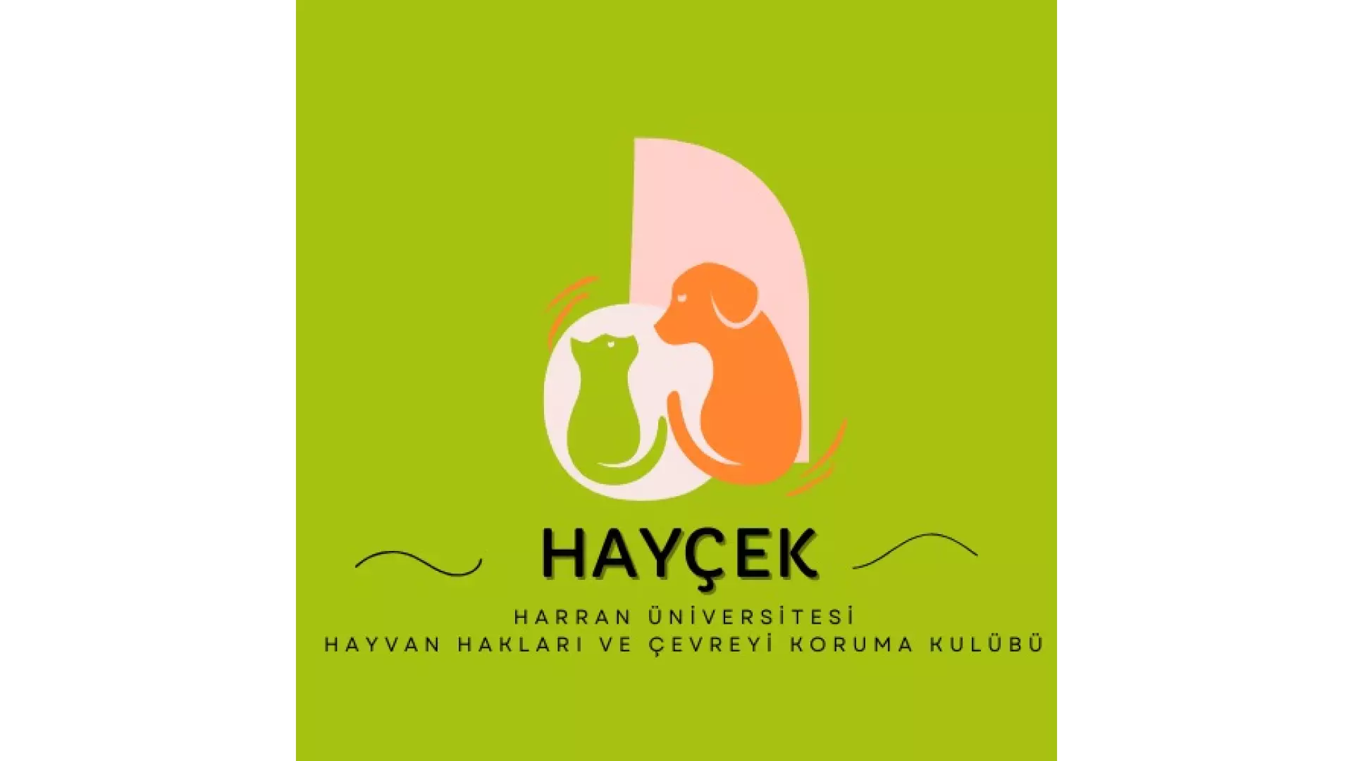 HAYÇEK HÜ