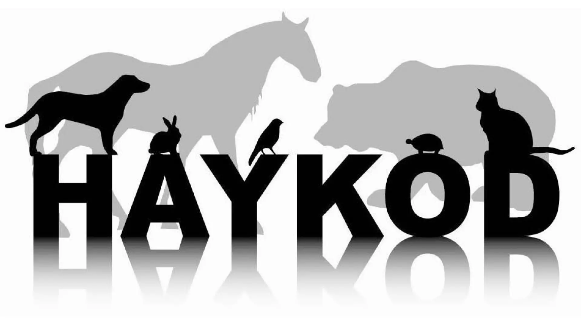 HAYKOD