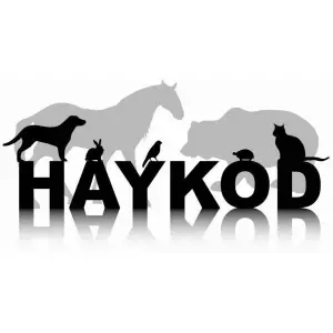 HAYKOD