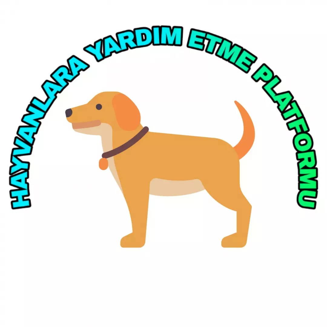 Sokak Hayvanlarına Mama Yardımı