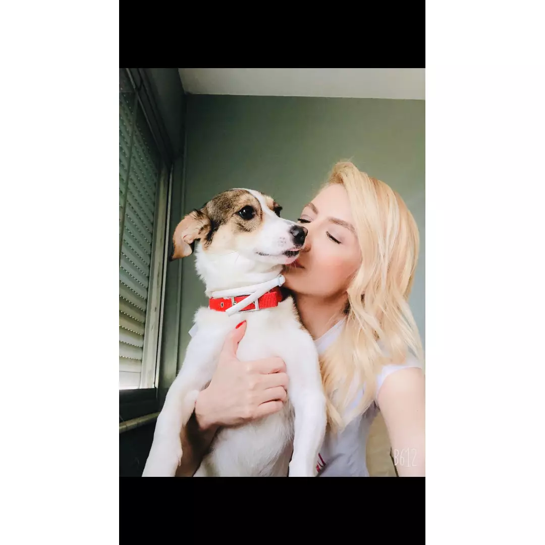 İzmir Sahiplendirme