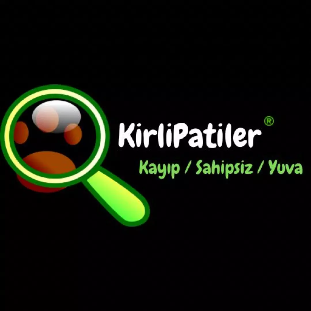 KirliPatiler