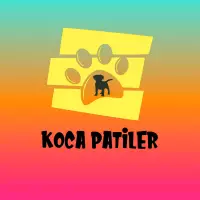 kocapatiler