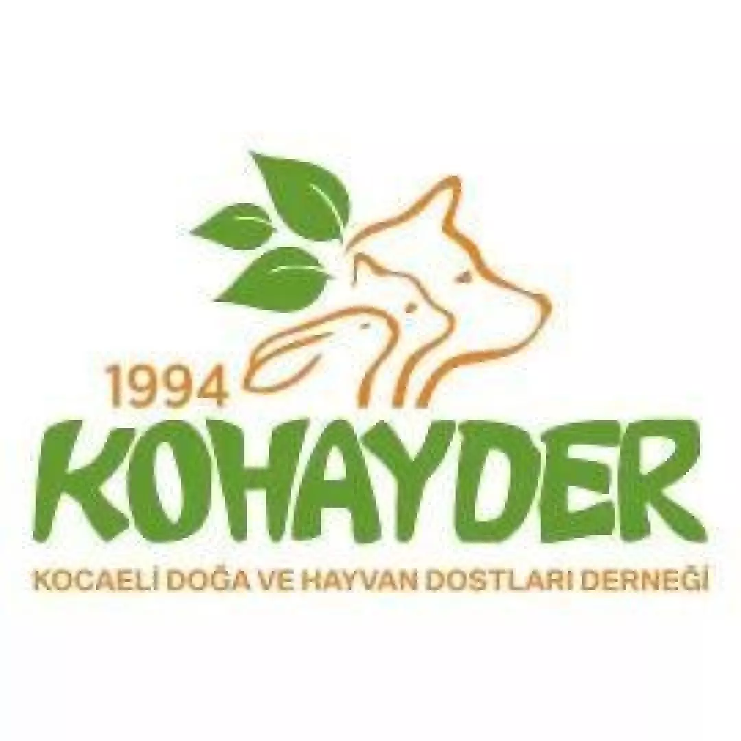 KOHAYDER41