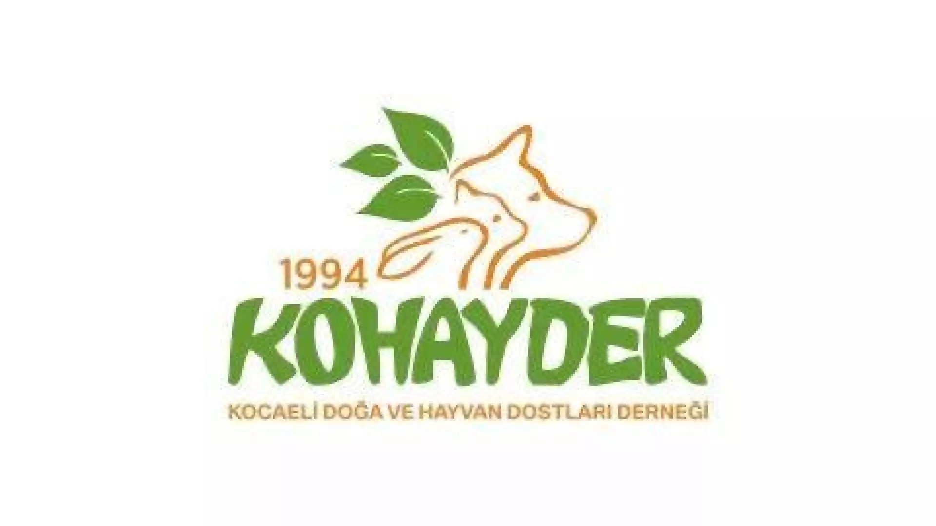 KOHAYDER41