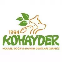 KOHAYDER41