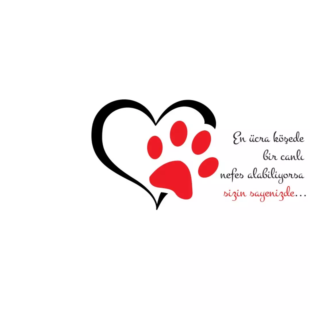 Konya Kedi Köpek Sahiplendirme