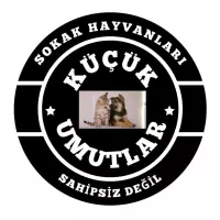 Küçük Umutlar