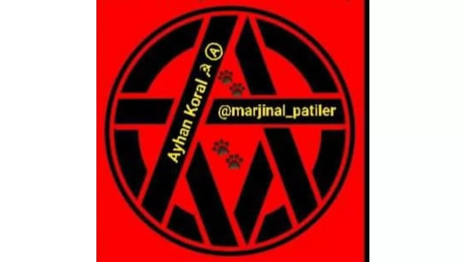 Marjinal Patiler