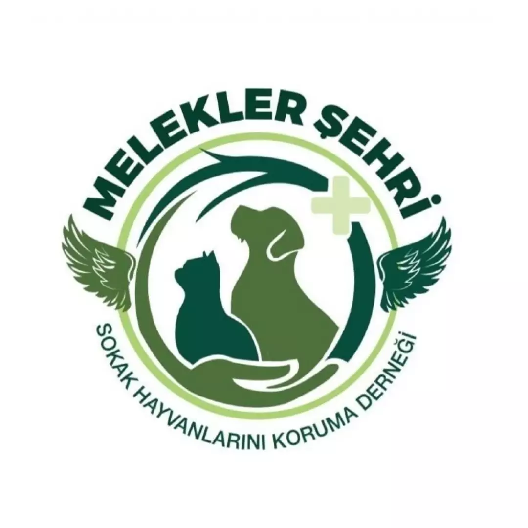 Melekler Şehri Derneği - Elestibezmi