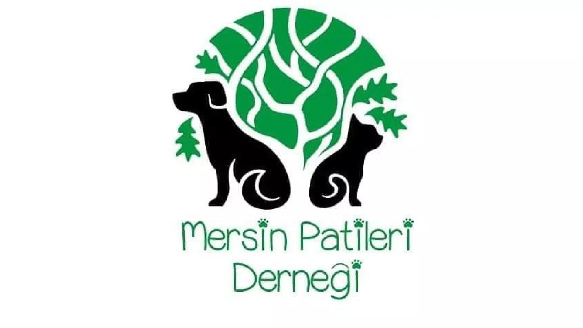 Mersin Patileri Derneği