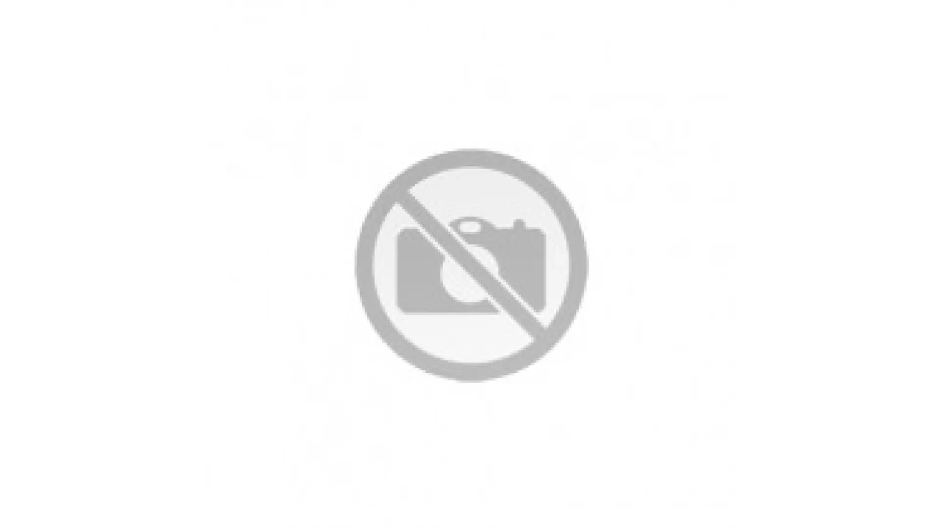 Tailpetz Leash Köpek Sevk Kayışı Medium Lime 2x140 Cm