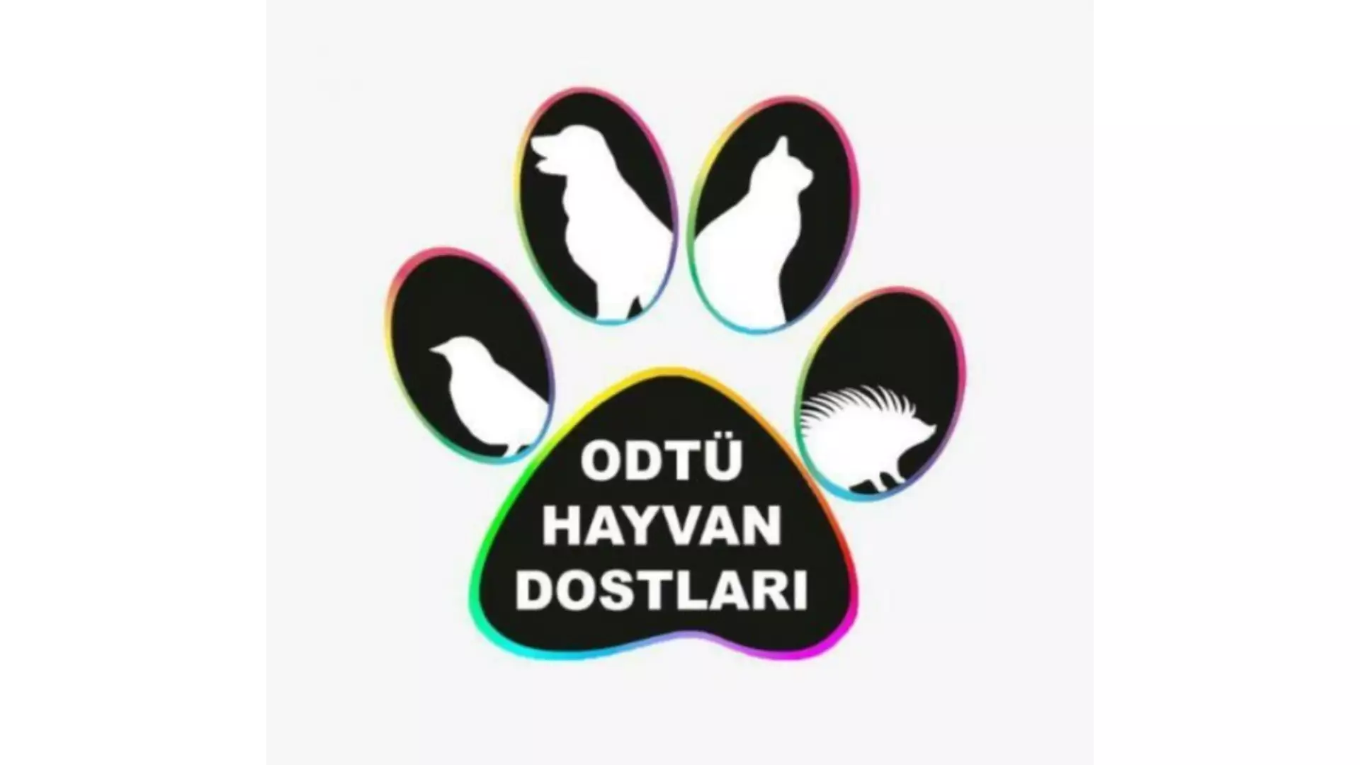 Odtü Hayvan Dostları ( Odtuhaydost)