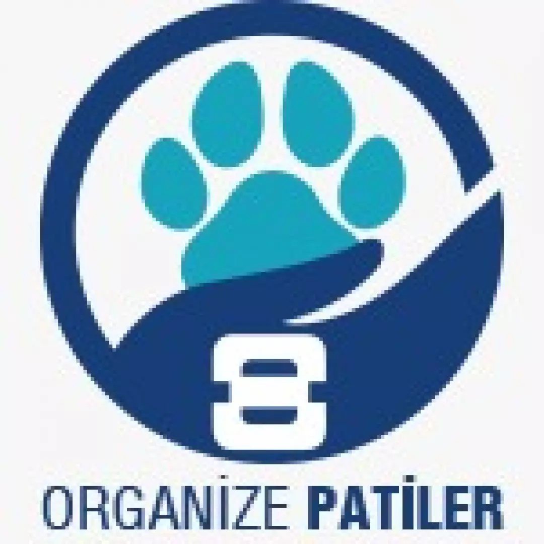 Organize Patiler