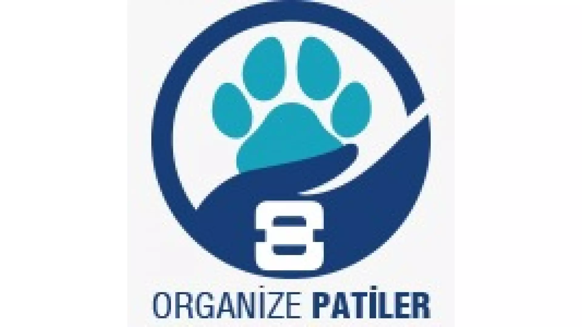 Organize Patiler