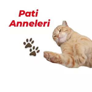 Pati Anneleri