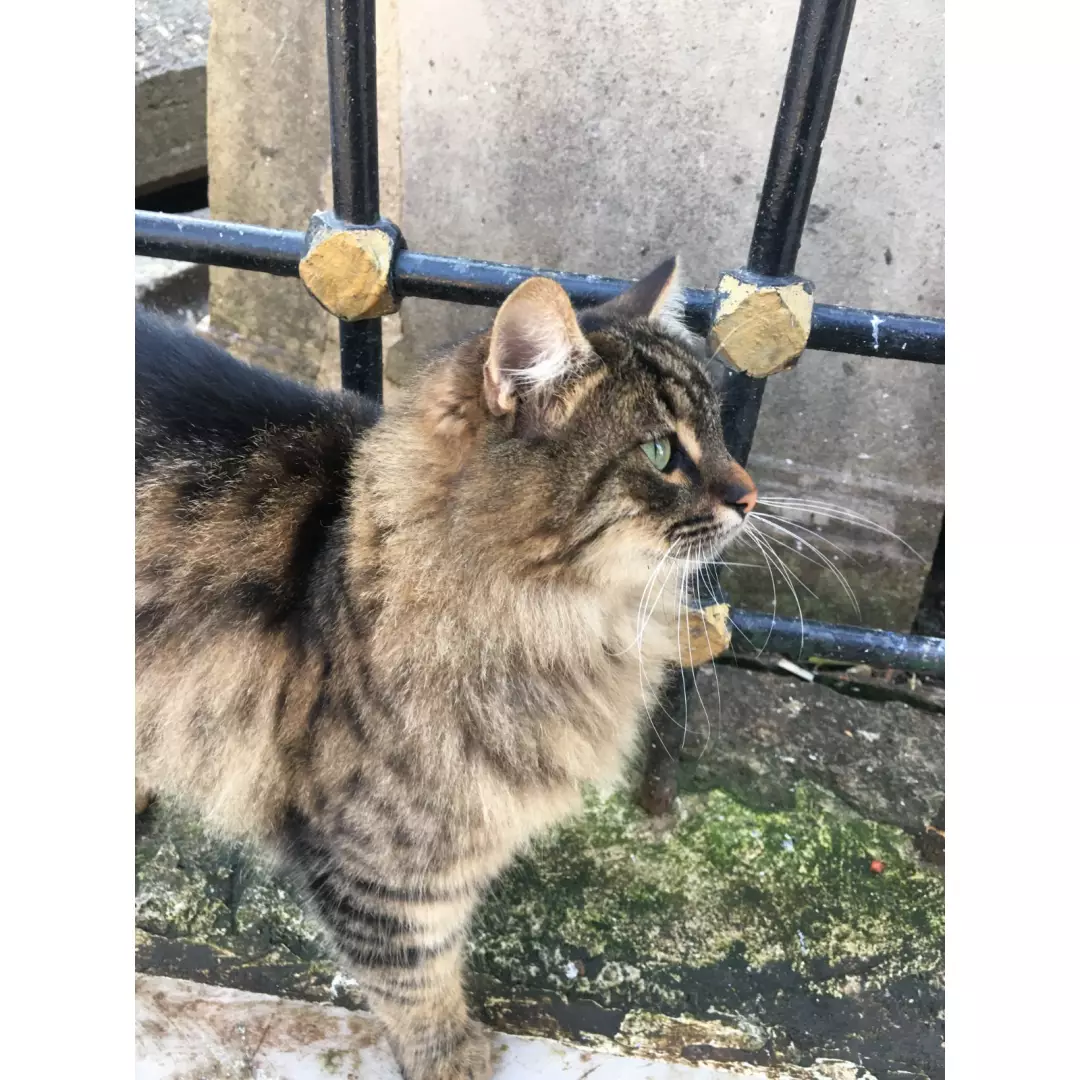 Patilidostlar✨ Mardin