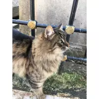 Patilidostlar✨ Mardin