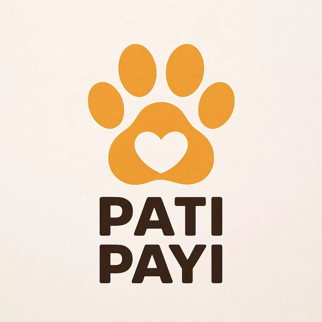 PatiPayı