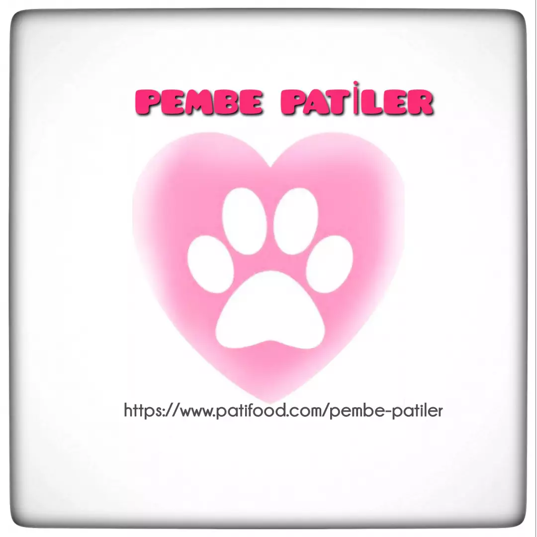 PEMBE PATİLER