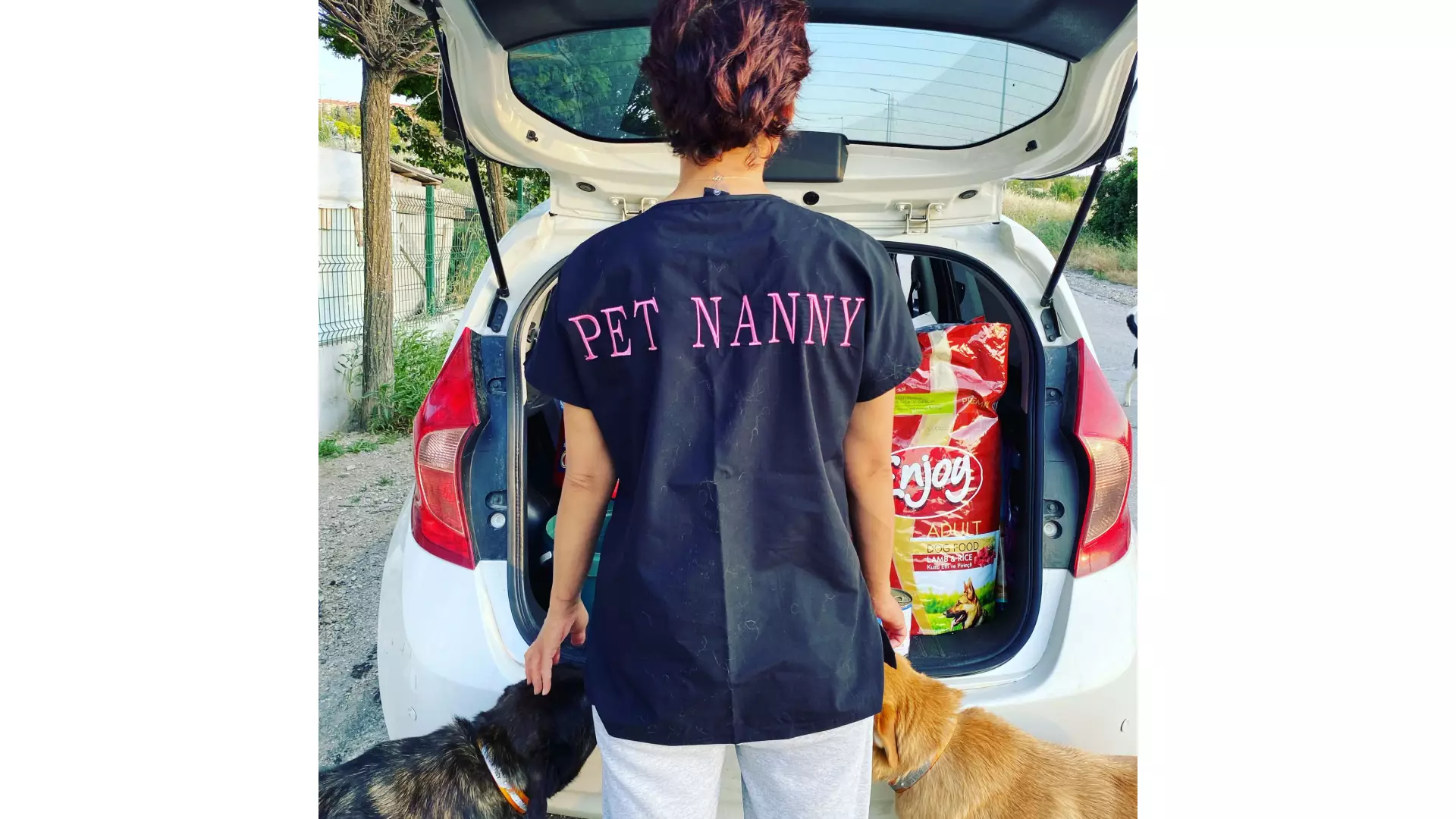 Pet Nanny