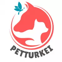Petturkei