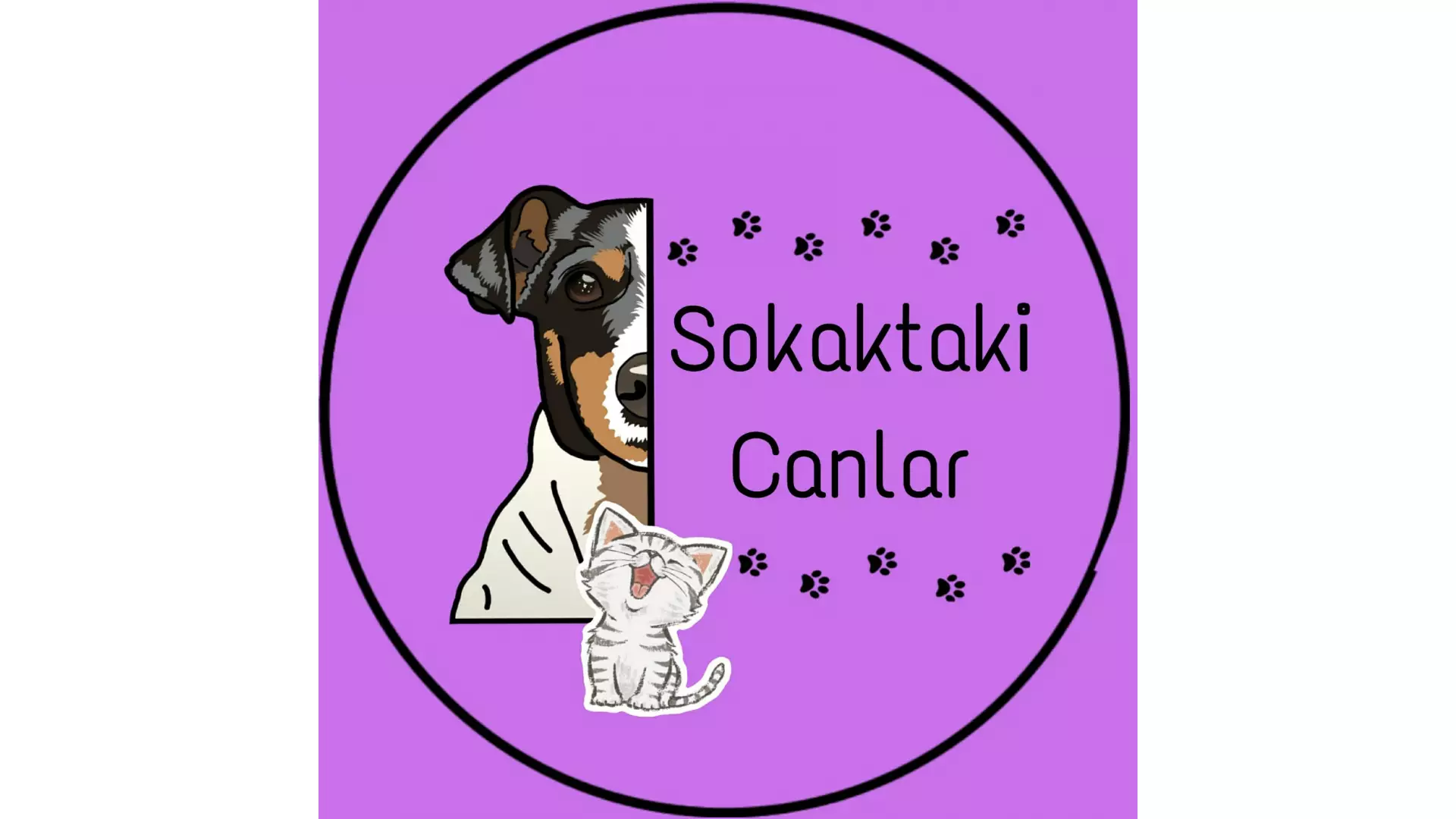 Sokaktaki Canlar - Yağmur Blt